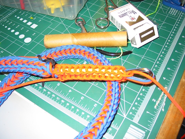 Gator Leash