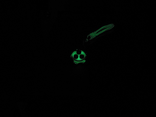 GITD Reflector Bezel