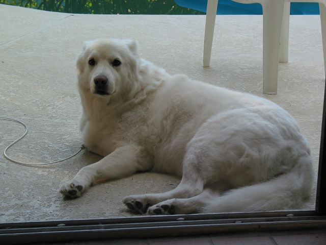 Chloe