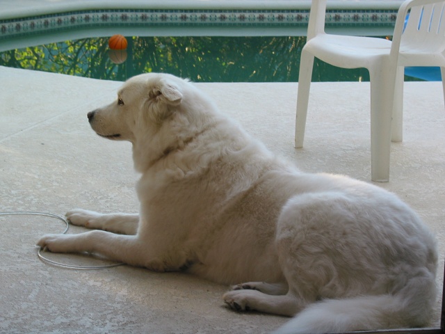 Chloe